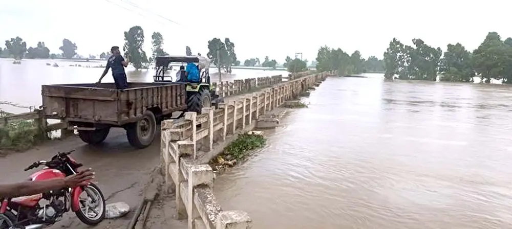Advance dam of Ahli Kalan village breaks; Paddy crop destroyed in 35 thousand acres.
